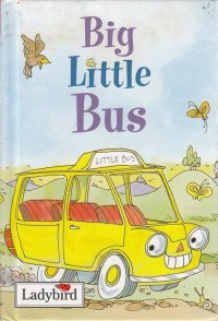 Image of Big Little Bus