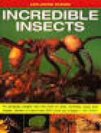 Image of Exploring Nature Incredible Insects