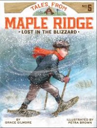 Image of Lost in The Blizzard