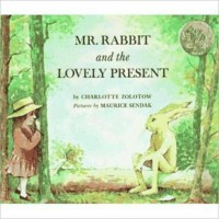 Image of Mr. Rabbit and the Lovely Present