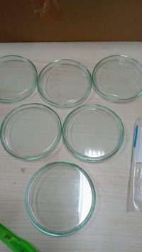 Image of Petridish (6)