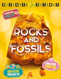 Image of Rocks and Fossils