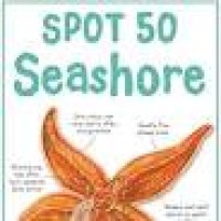 Spot 50 Seashore