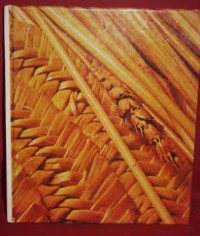 Image of The Family Creative Workshop Quilling